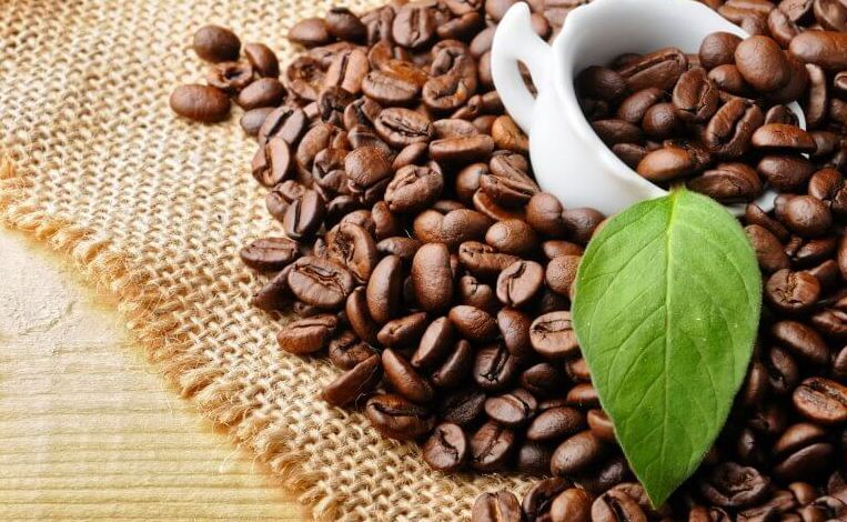 quy trình sản xuất cafe sạch Robica Coffee