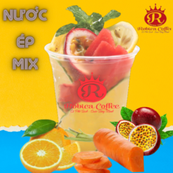 nuoc-ep-tong-hop-robica